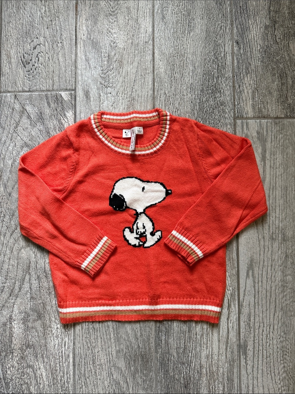 EUC-Janie & Jack unisex Snoopy Crewneck Sweater